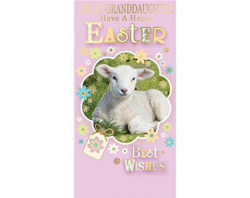 CUTE GT-GRANDDAUGHTER MONEY WALLET 12S