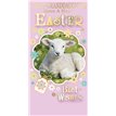 CUTE GT-GRANDDAUGHTER MONEY WALLET 12S