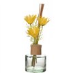 100ml "NAN" THE COTTAGE GARDEN DIFFUSER
