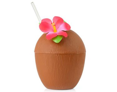 COCONUT CUPS WITH RED FLOWER & PAPER STRAW