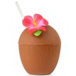 COCONUT CUPS WITH RED FLOWER & PAPER STRAW