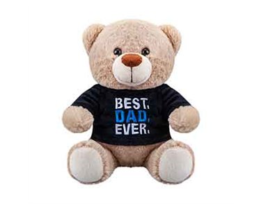 8in 2ASST BEST DAD EVER BEAR