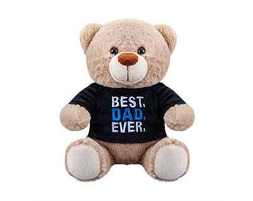 8in 2ASST BEST DAD EVER BEAR