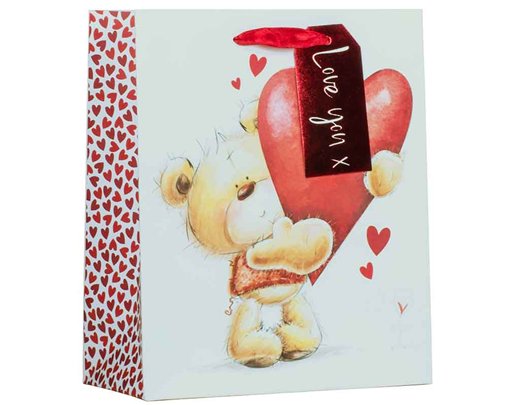 VALENTINES CUTE BEAR MEDIUM GIFT BAG 6S