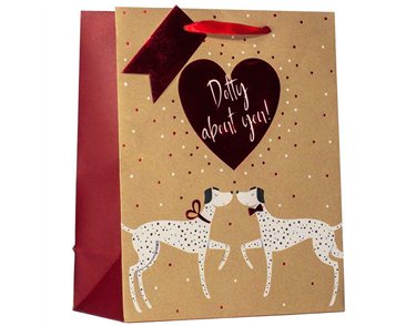 VALENTINES DOTTY ABOUT YOU LARGE GIFT BAG 6S