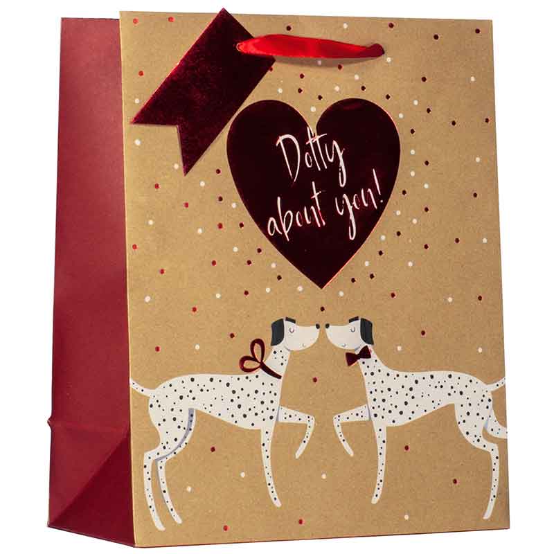 VALENTINES DOTTY ABOUT YOU LARGE GIFT BAG 6S