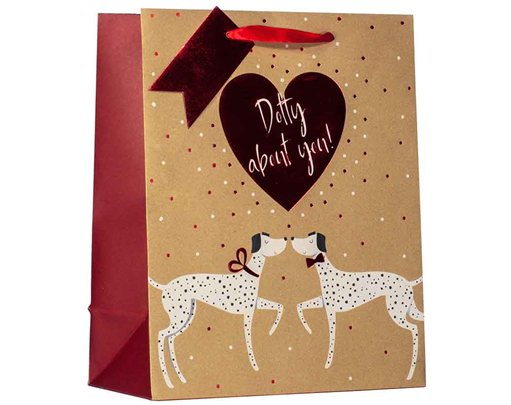VALENTINES DOTTY ABOUT YOU LARGE GIFT BAG 6S