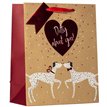 VALENTINES DOTTY ABOUT YOU LARGE GIFT BAG 6S