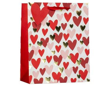 VALENTINE HEARTS LARGE GIFT BAG 6S