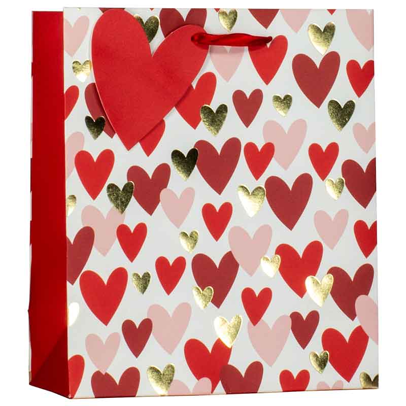 VALENTINE HEARTS MEDIUM GIFT BAG 6S