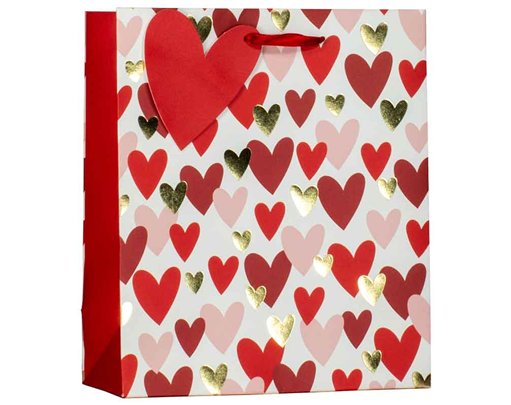 VALENTINE HEARTS MEDIUM GIFT BAG 6S