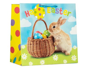PHOTO BUNNY LARGE GIFT BAG 6S
