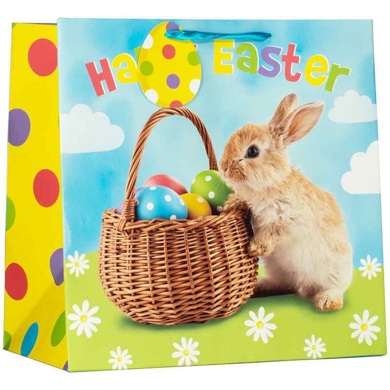PHOTO BUNNY LARGE GIFT BAG 6S