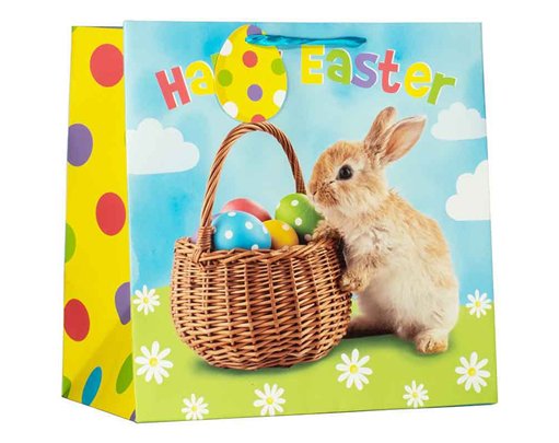 PHOTO BUNNY LARGE GIFT BAG 6S