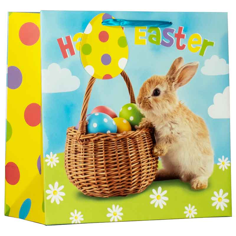 PHOTO BUNNY MEDIUM GIFT BAG 6S