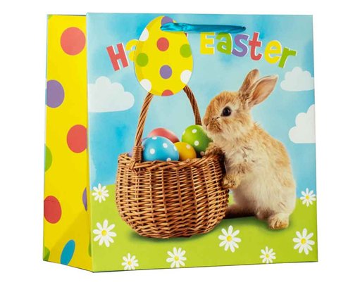 PHOTO BUNNY MEDIUM GIFT BAG 6S