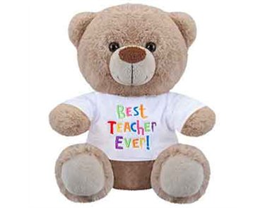 8in BEST TEACHER BEAR