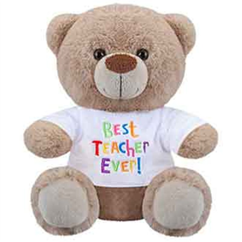 8in BEST TEACHER BEAR