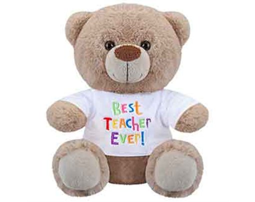 8in BEST TEACHER BEAR