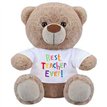 8in BEST TEACHER BEAR