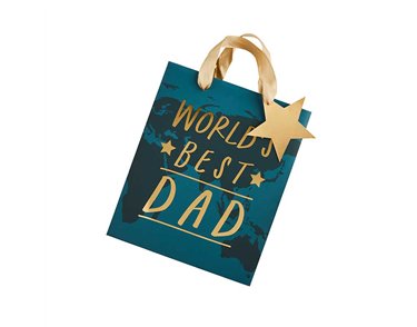 WORLD'S BEST DAD GIFT BAG 6S