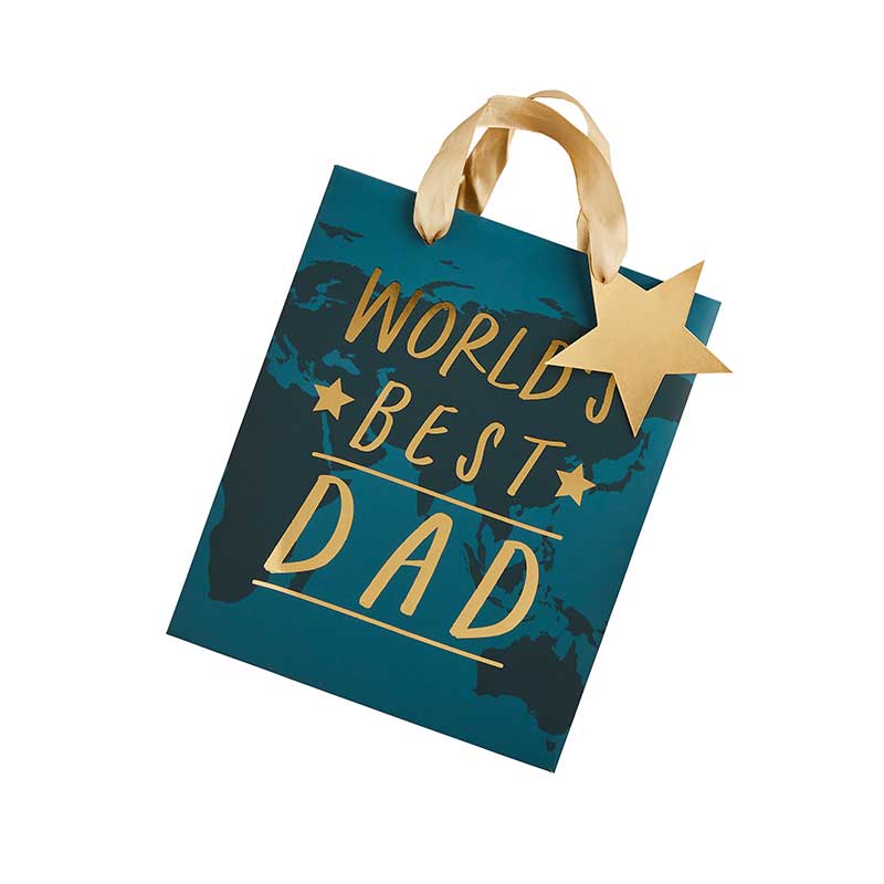 WORLD'S BEST DAD GIFT BAG 6S