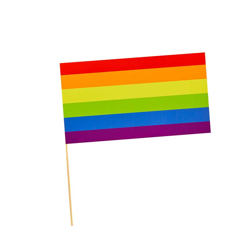 6PK PRIDE PAPER FLAGS