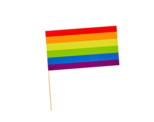 6PK PRIDE PAPER FLAGS