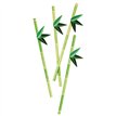 16PK TROPICAL PAPER STRAWS
