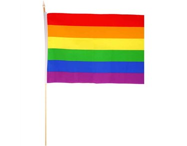 45x30cm PRIDE HAND FLAG HAND 12S