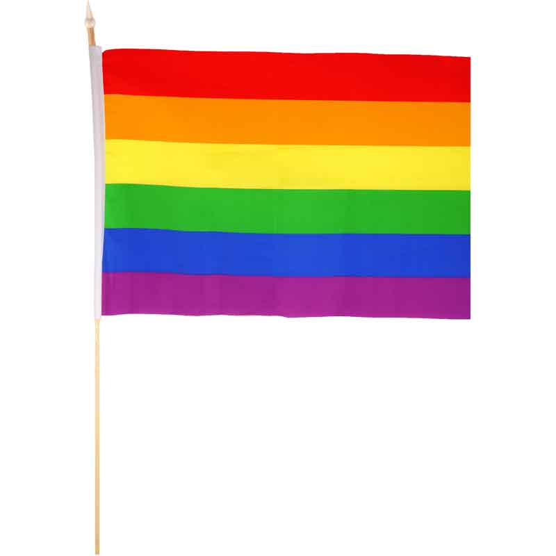 45x30cm PRIDE HAND FLAG HAND 12S