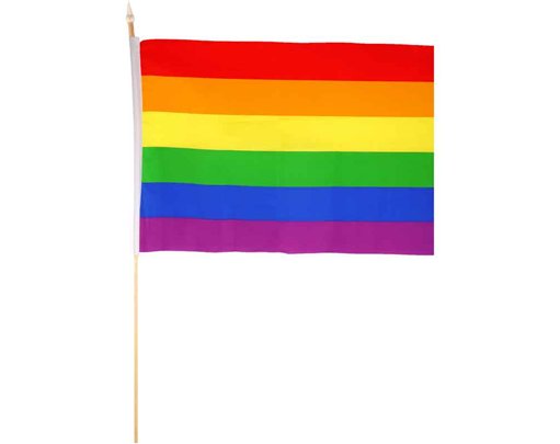 45x30cm PRIDE HAND FLAG HAND 12S