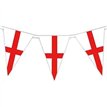 10m ST GEORGE TRIANGLE BUNTING