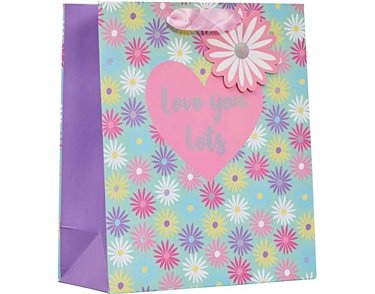 LOVE YOU LOTS MEDIUM BAG MOTHERS DAY GIFT BAG 6S