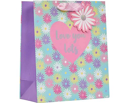LOVE YOU LOTS MEDIUM BAG MOTHERS DAY GIFT BAG 6S