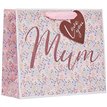 DITSY FLORAL MEDIUM SHOPPER MOTHERS DAY GIFT BAG 6S