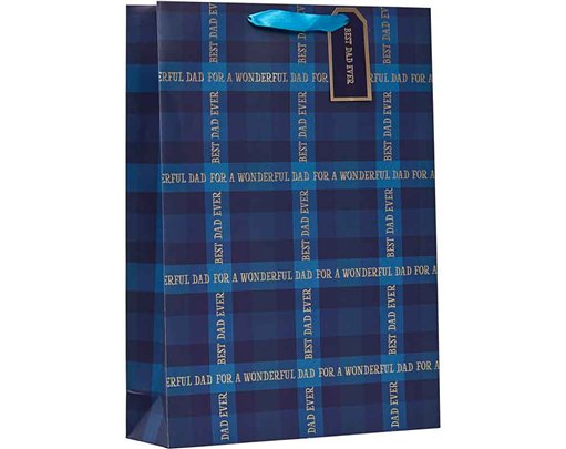 DAD TARTAN XLG FATHERS DAY GIFT BAG 6S