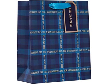 DAD TARTAN MEDIUM BAG FATHERS DAY GIFT BAG 6S