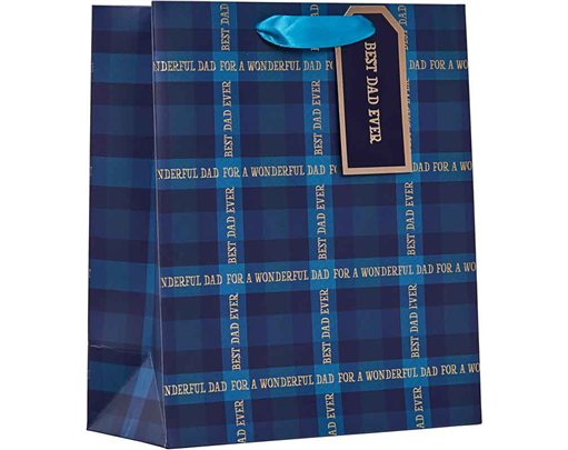 DAD TARTAN MEDIUM BAG FATHERS DAY GIFT BAG 6S