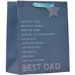 BEST DAD FATHERS DAY LARGE GIFT BAG 6S