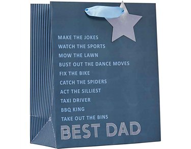 BEST DAD FATHERS DAY MEDIUM GIFT BAG 6S
