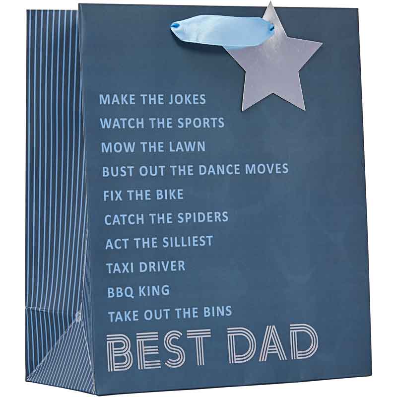 BEST DAD FATHERS DAY MEDIUM GIFT BAG 6S