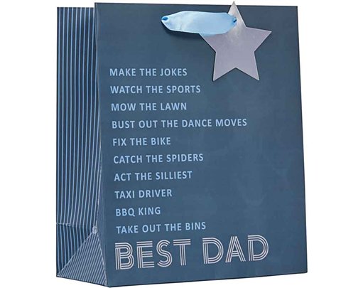 BEST DAD FATHERS DAY MEDIUM GIFT BAG 6S