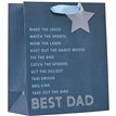 BEST DAD FATHERS DAY MEDIUM GIFT BAG 6S