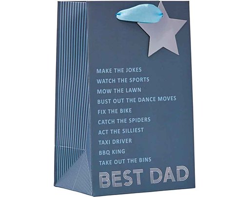 BEST DAD FATHERS DAY SMALL GIFT BAG 6S