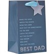 BEST DAD FATHERS DAY SMALL GIFT BAG 6S