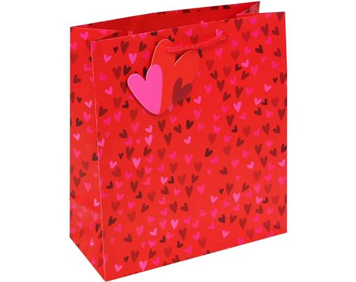 MINI HEARTS VALENTINES MEDIUM GIFT BAG 12S
