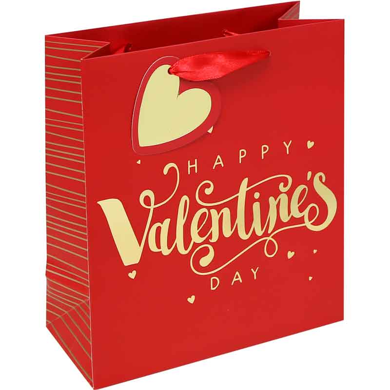 HAPPY VALENTINES DAY TEXT MEDIUM GIFT BAG 12S