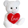 VALENTINES BEAR SOFT TOY