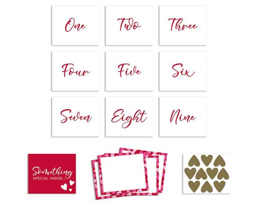 VALENTINES FIND THE SURPRISE KIT